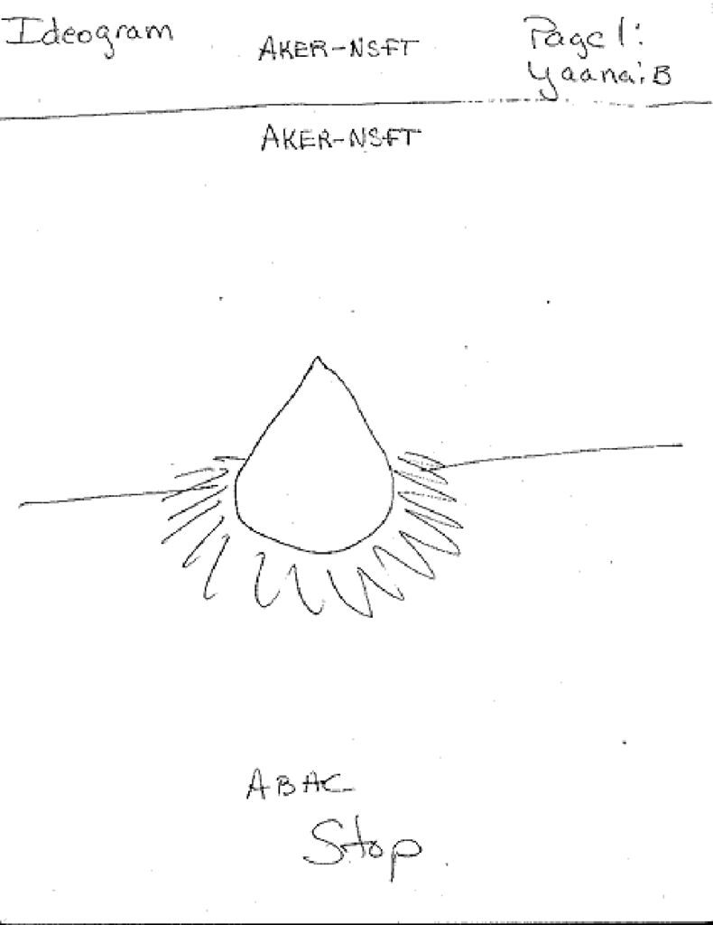 aker-nsft-pdf-2.jpg