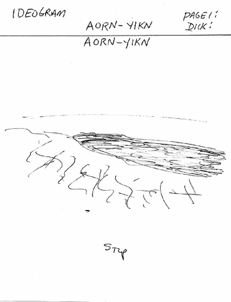 aorn-yikn-pdf-2.jpg
